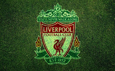 英皇体育动态-VAR判罚的公众教育